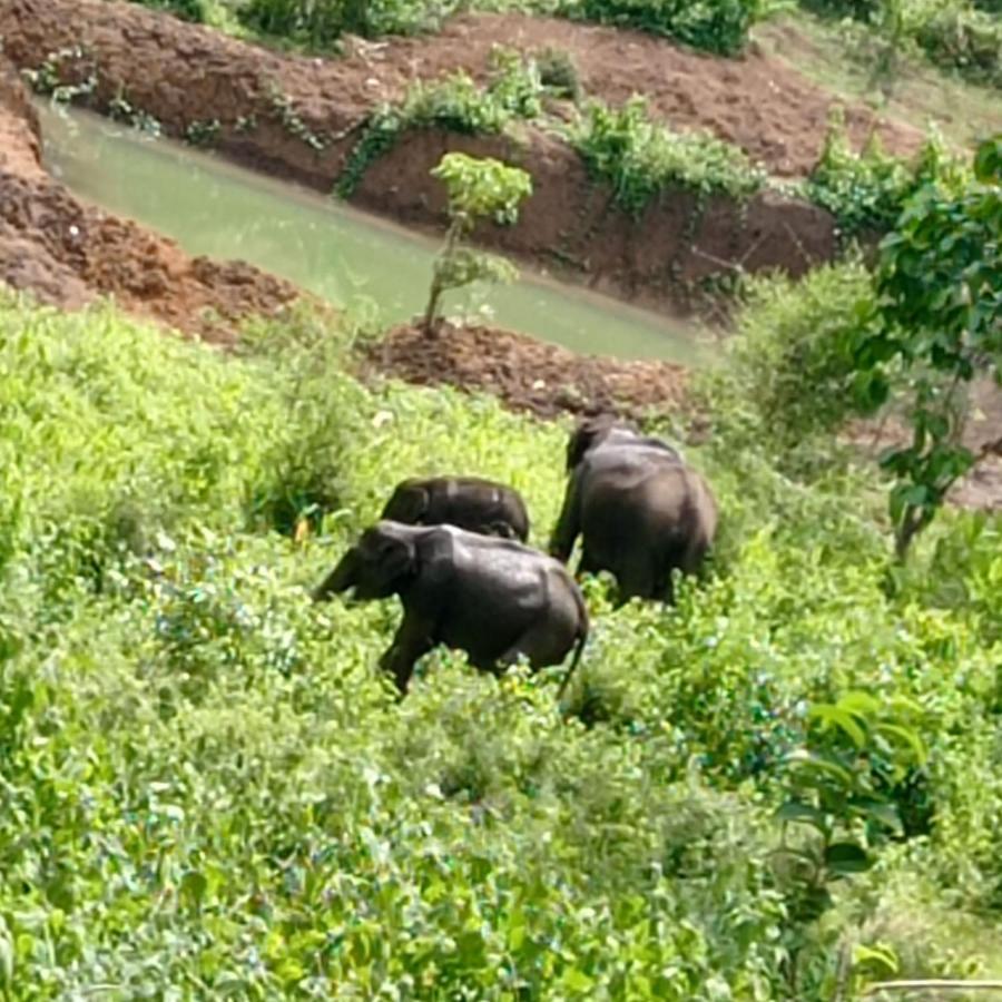 Kuruva Shoreline Wayanad Chegāt Εξωτερικό φωτογραφία
