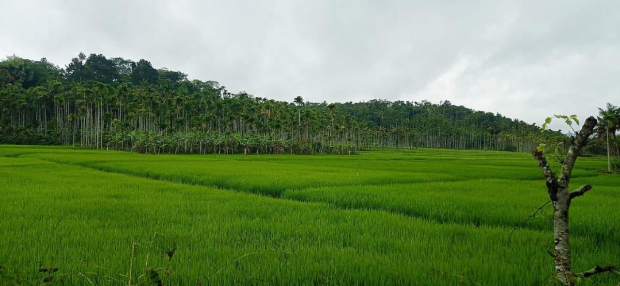 Kuruva Shoreline Wayanad Chegāt Εξωτερικό φωτογραφία